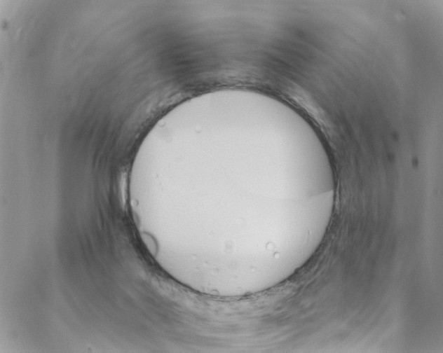 X0000088470022200706121540