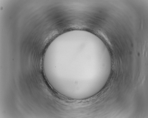 X0000088470023200706121540