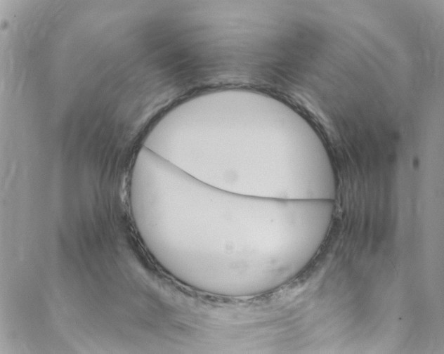 X0000088470024200706121540