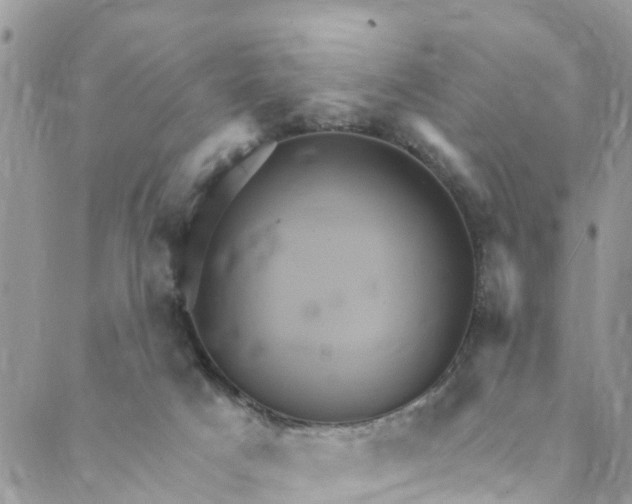 X0000088470025200706121540