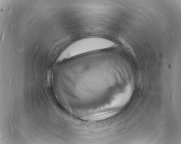 X0000088470026200706121540