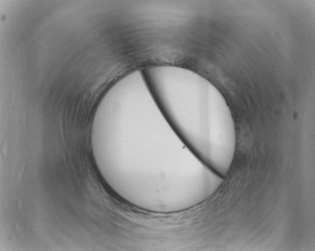 X0000088470027200706121540