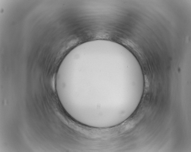 X0000088470028200706121540