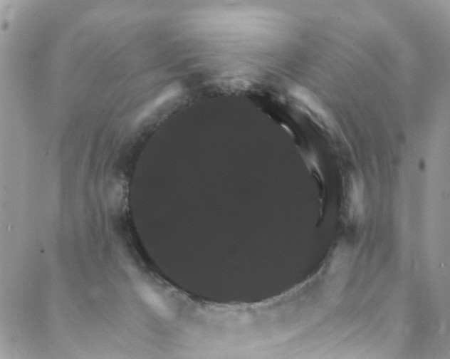 X0000088470029200706121540