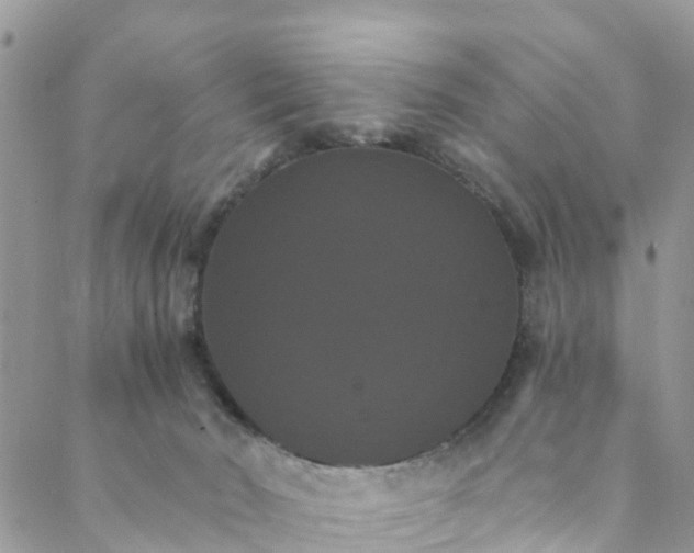 X0000088470030200706121540