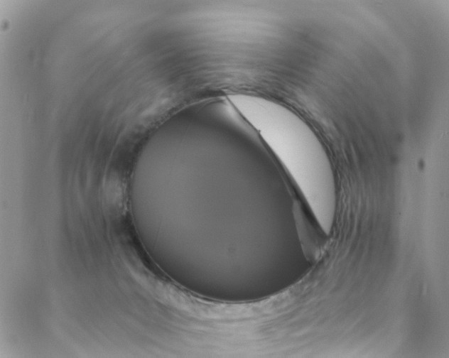 X0000088470031200706121540