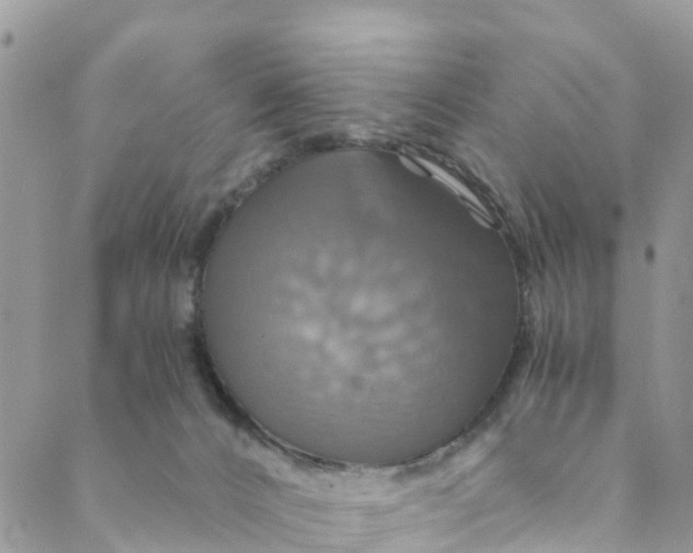 X0000088470032200706121540