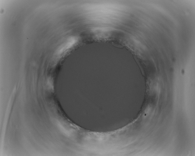 X0000088470033200706121540