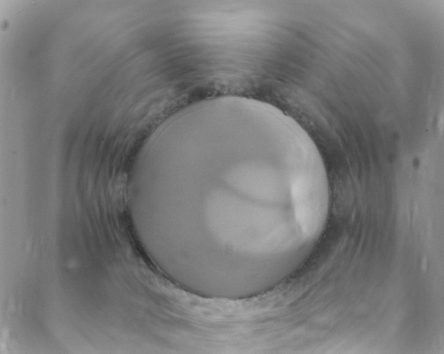 X0000088470034200706121540