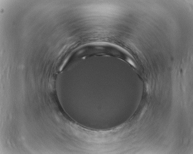 X0000088470035200706121540