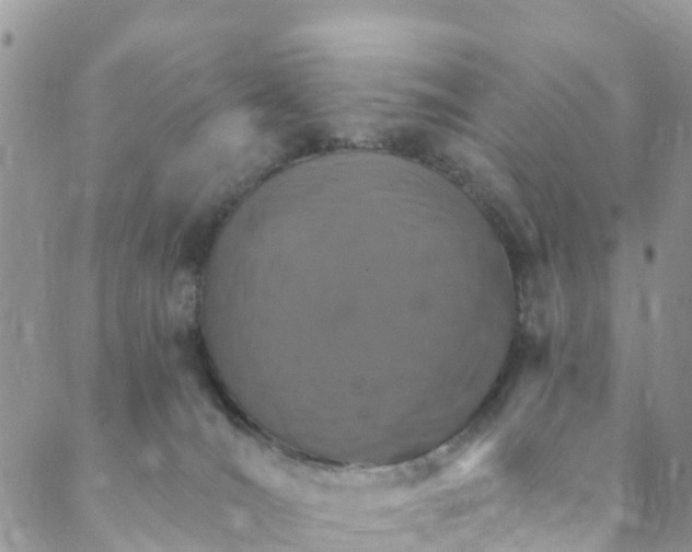 X0000088470036200706121540