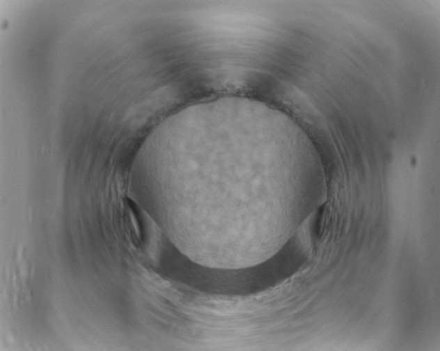 X0000088470037200706121540