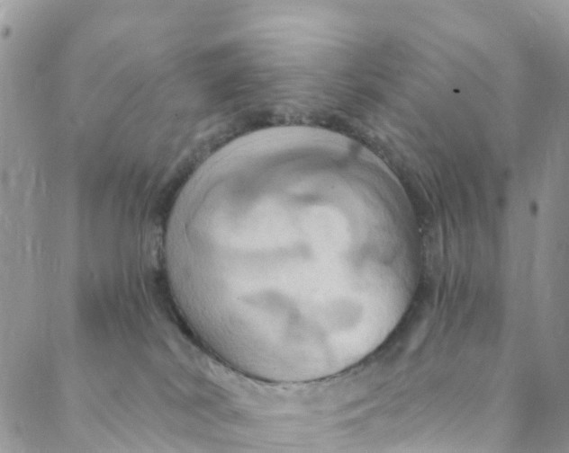 X0000088470038200706121540