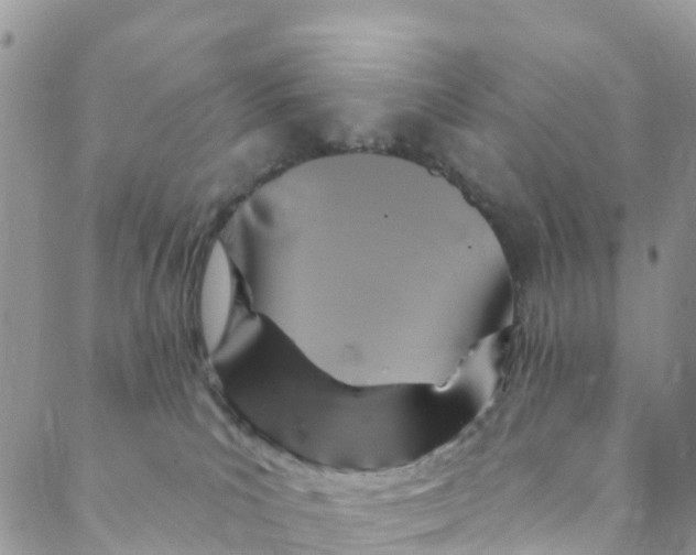 X0000088470039200706121540