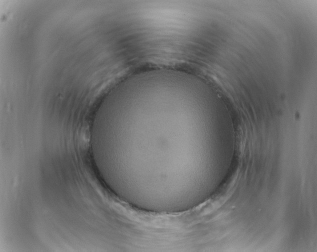 X0000088470040200706121540