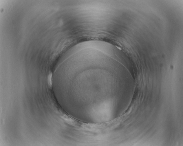 X0000088470041200706121540