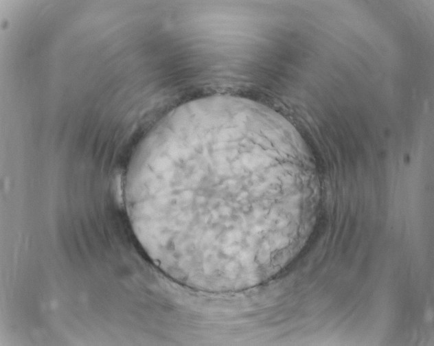 X0000088470042200706121540