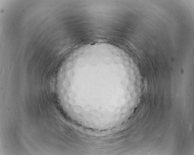 X0000088470043200706121540