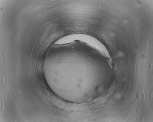 X0000088470044200706121540