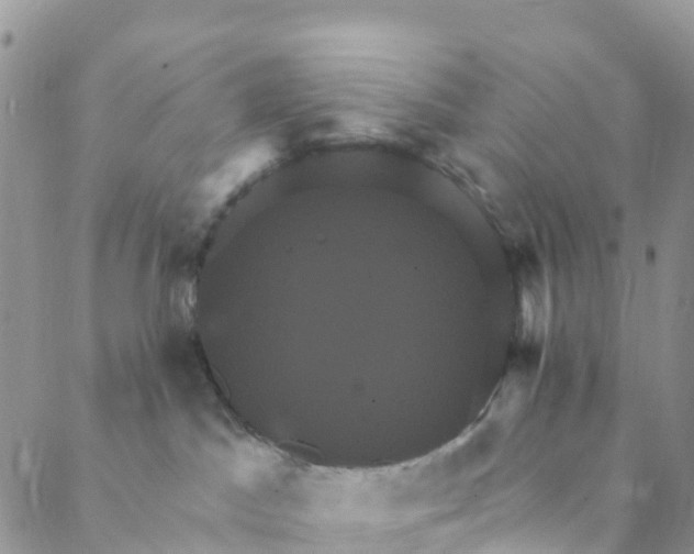 X0000088470045200706121540