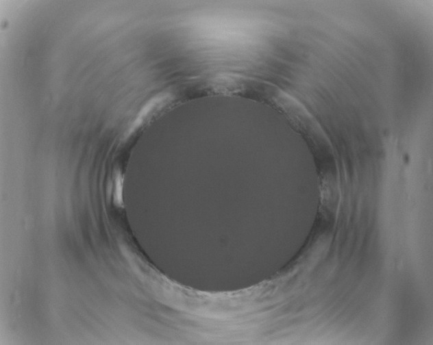 X0000088470046200706121540