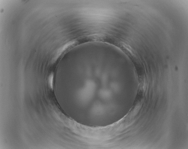 X0000088470047200706121540