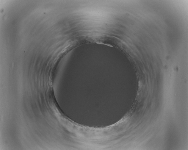 X0000088470048200706121540