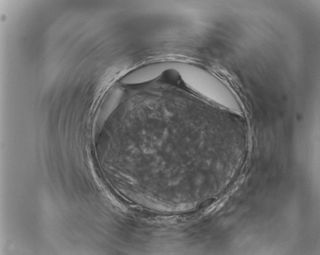 X0000088470049200706121539