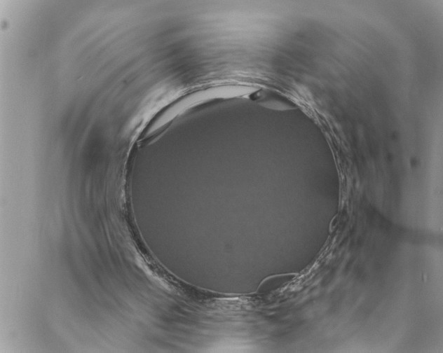 X0000088470050200706121539