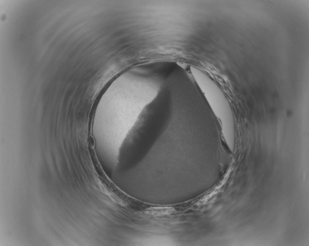 X0000088470051200706121539