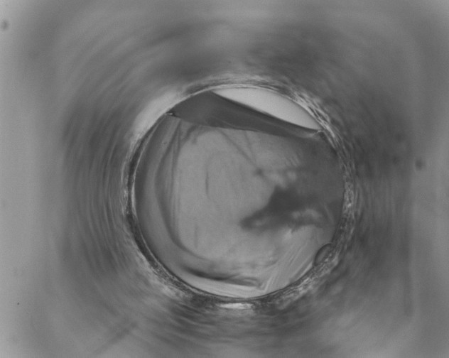 X0000088470053200706121539