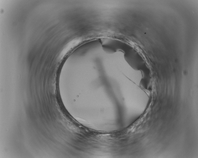 X0000088470054200706121539