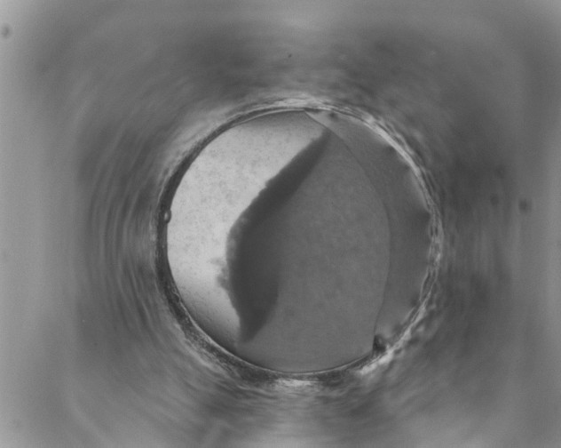 X0000088470055200706121539