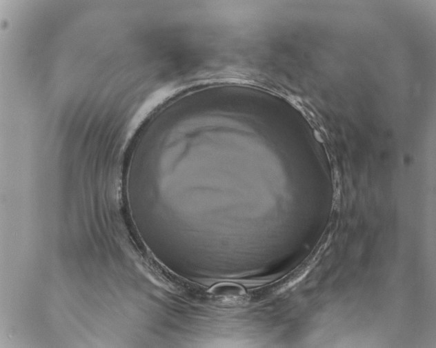 X0000088470056200706121539