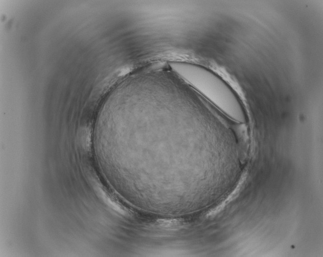 X0000088470057200706121539