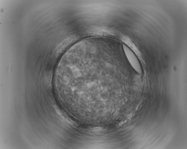 X0000088470058200706121539