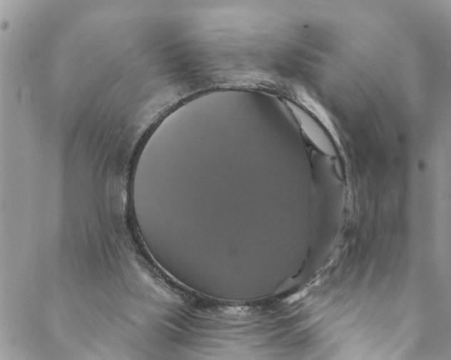 X0000088470059200706121539