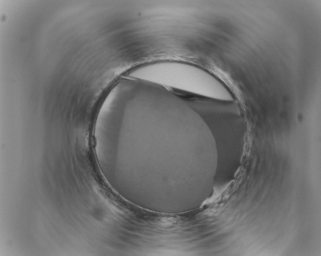 X0000088470060200706121539