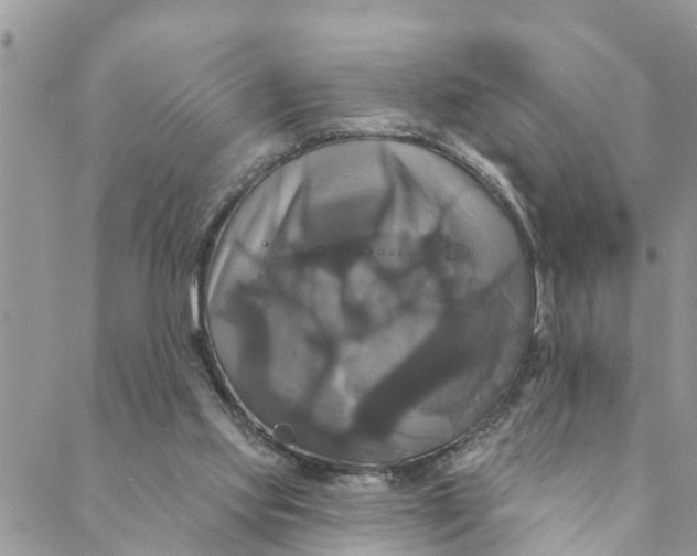 X0000088470061200706121539