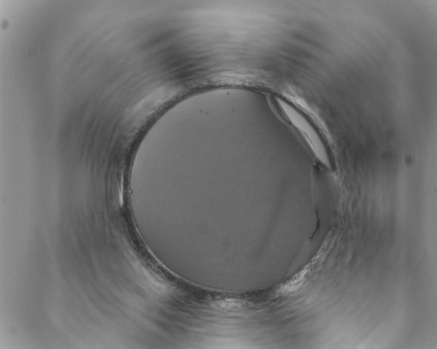 X0000088470062200706121539