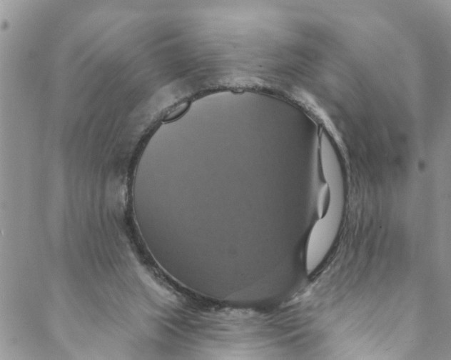 X0000088470063200706121539