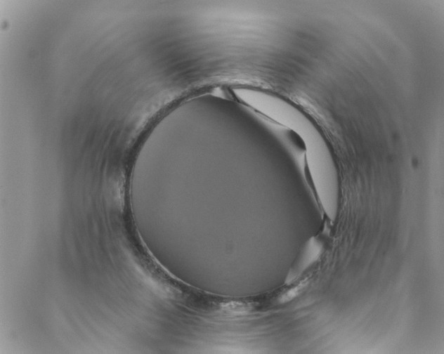 X0000088470064200706121540