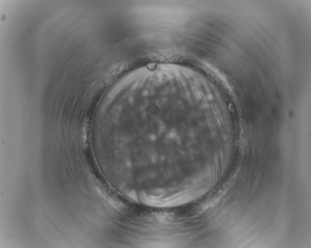 X0000088470065200706121540