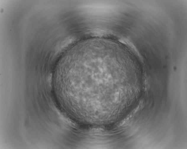 X0000088470066200706121540