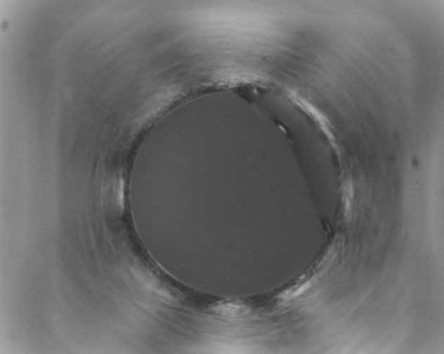 X0000088470067200706121540