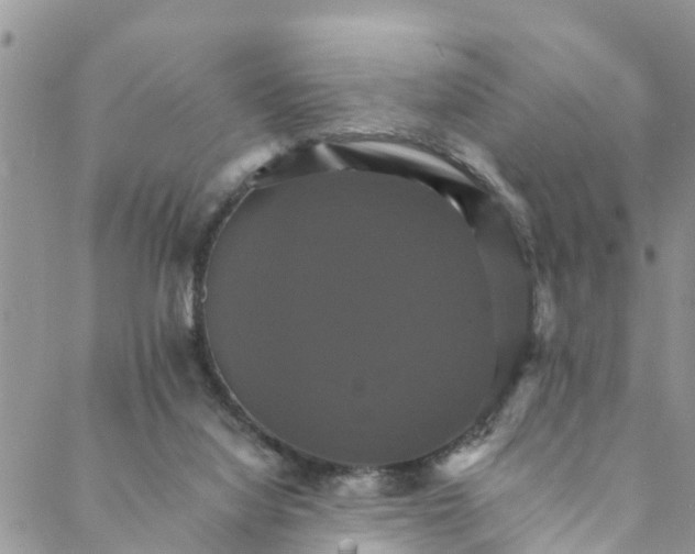 X0000088470068200706121540