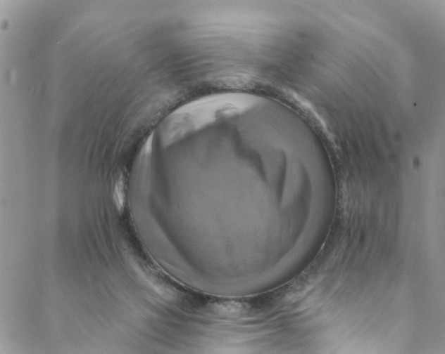 X0000088470069200706121540