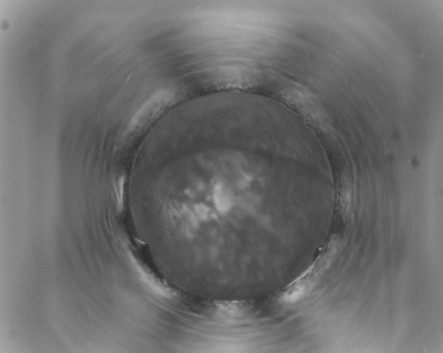 X0000088470070200706121540