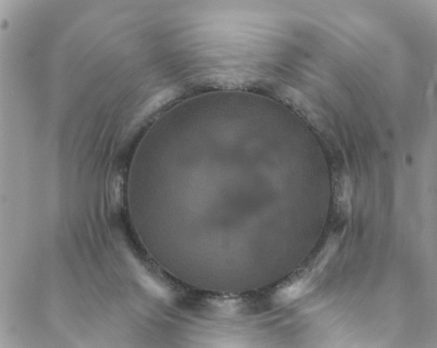 X0000088470071200706121540