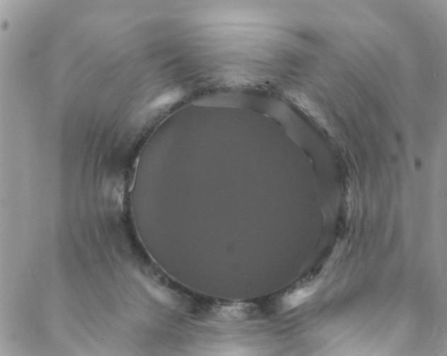 X0000088470072200706121540